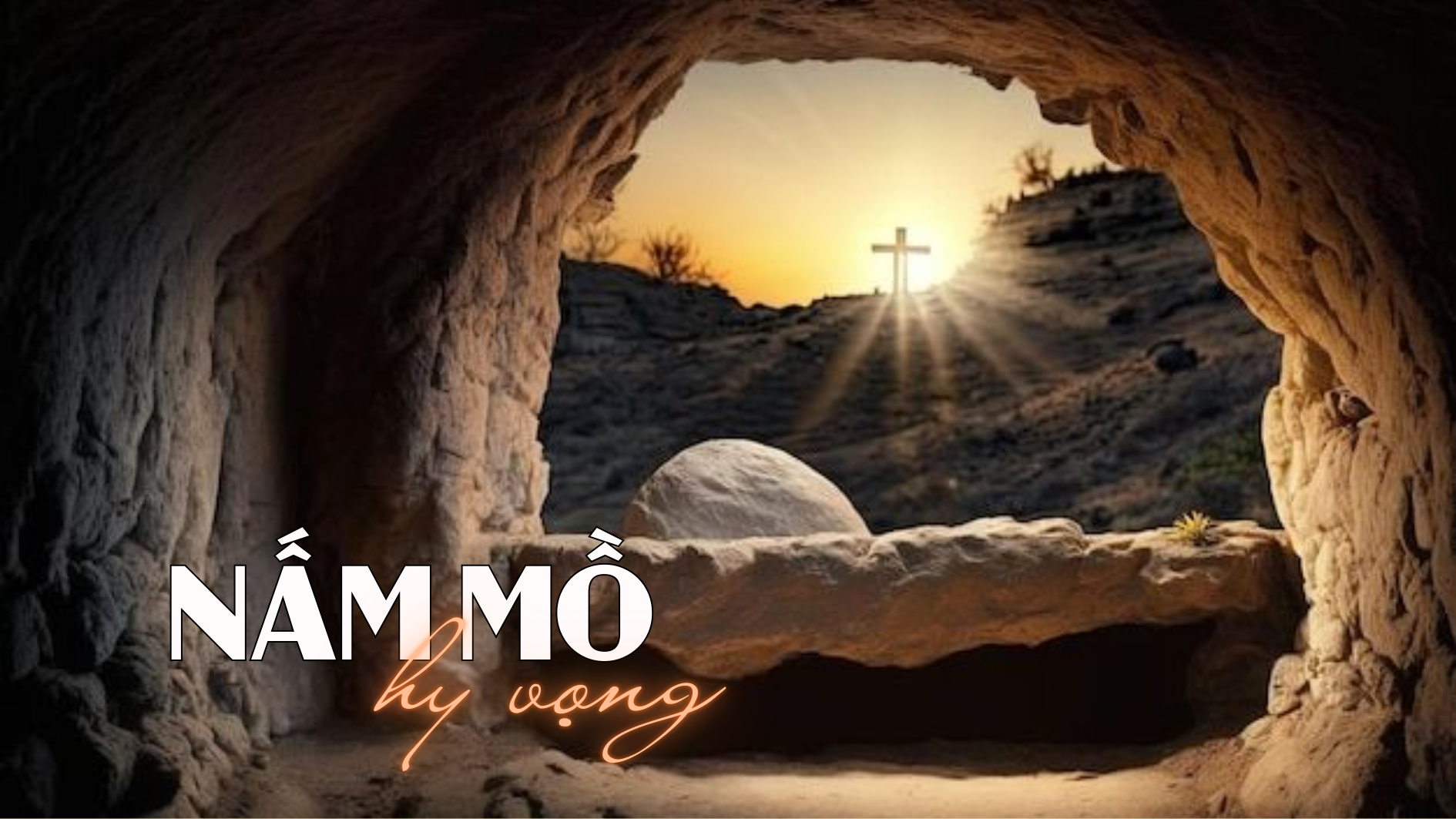 Nấm mồ hy vọng